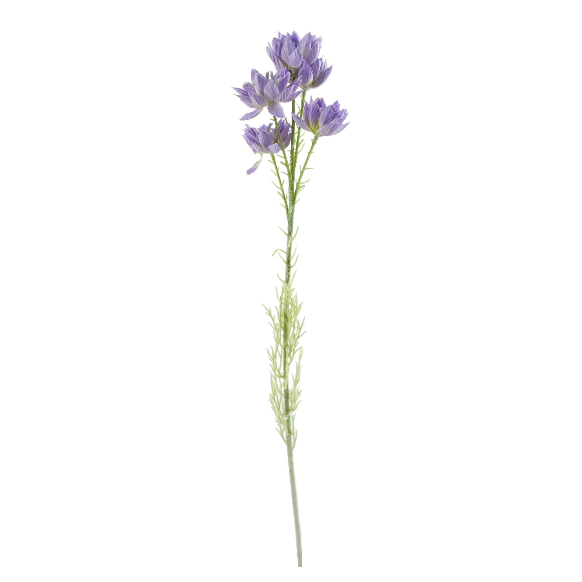 60cm Purple Starflower Stem - 5 Flowers