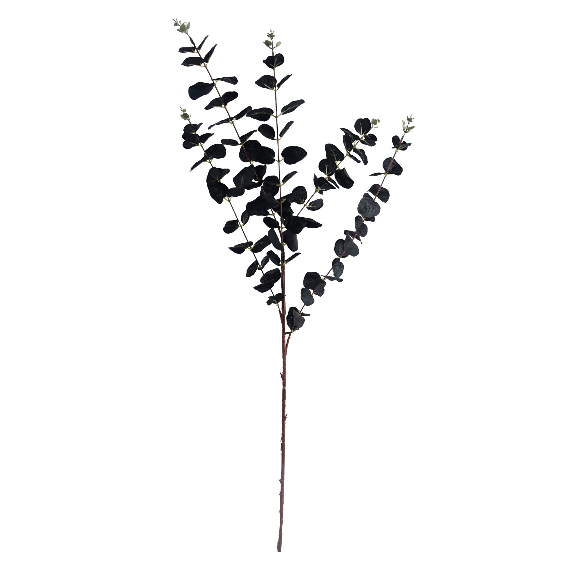 80cm Black Eucalyptus Foliage Stem