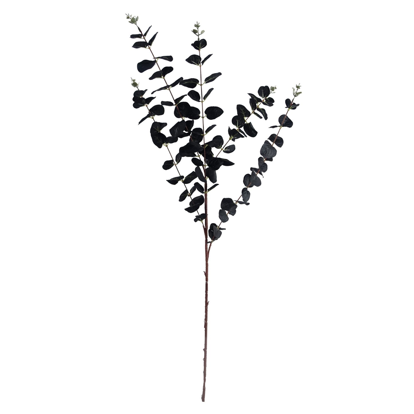 80cm Black Eucalyptus Foliage Stem