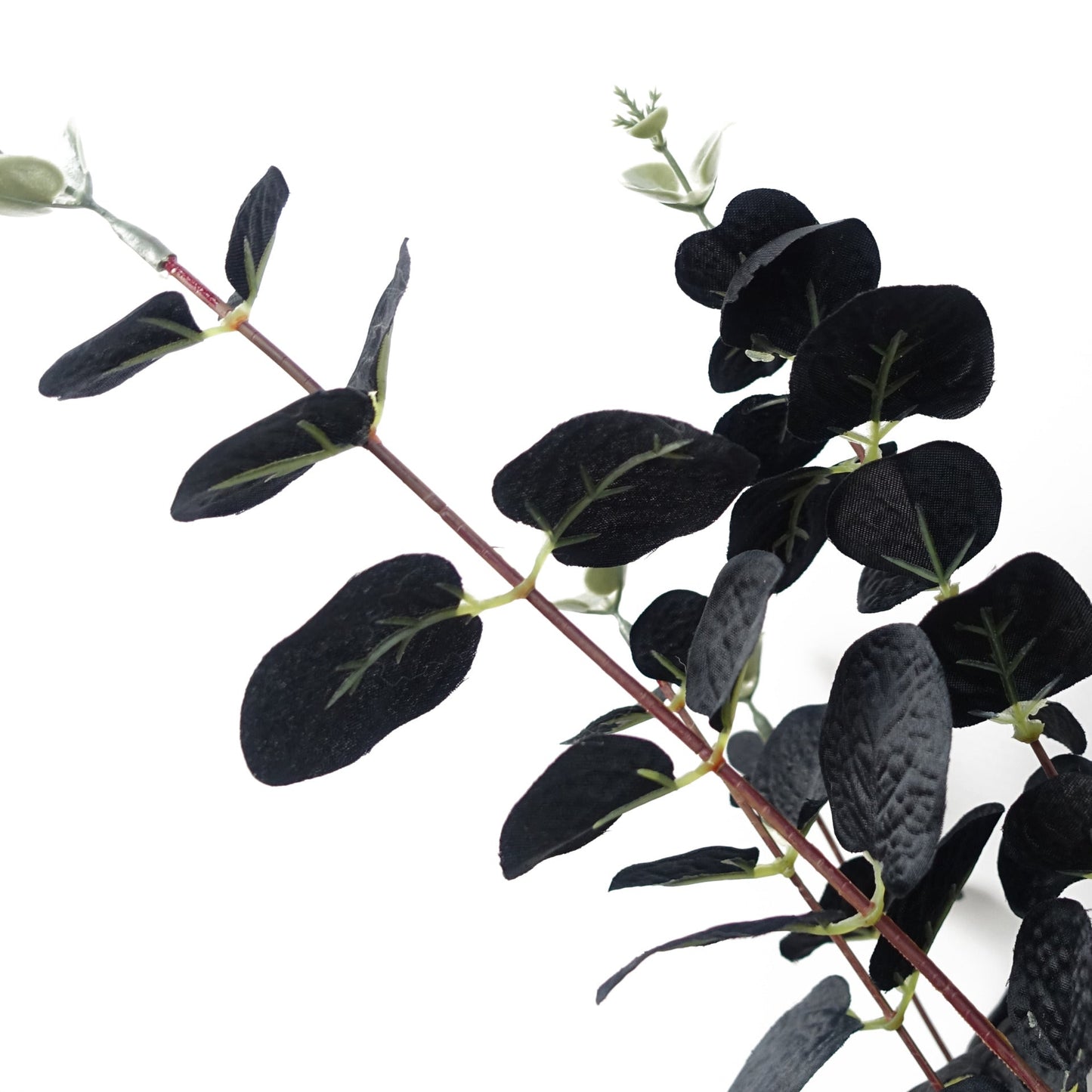 Pack of 6 x 80cm Black Eucalyptus Foliage Stem