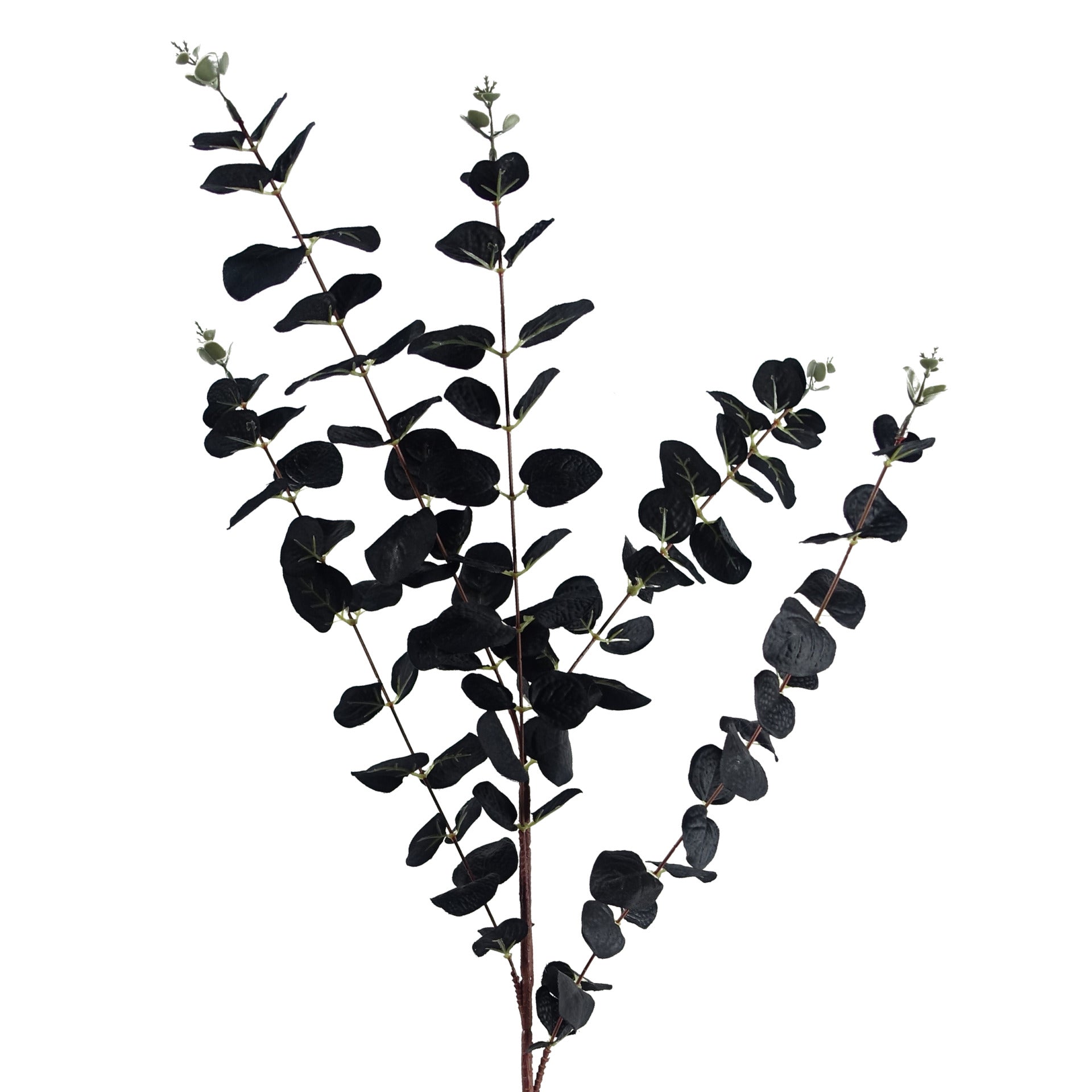 80cm Black Eucalyptus Foliage Stem