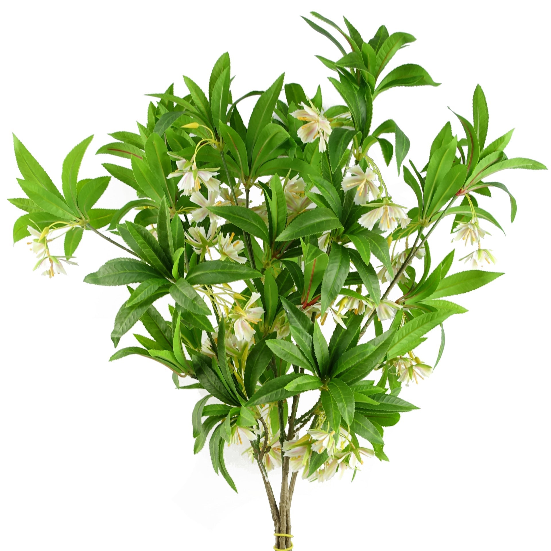 Pack of 6 x 90cm Artificial Hainan Elaeocarpus Stem