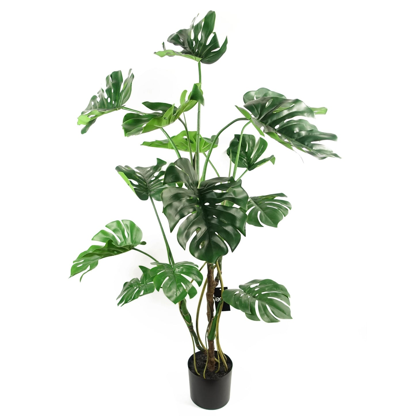 160cm Artificial Monstera Cheese Plant