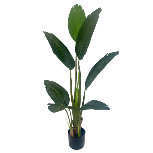 120cm UV Traveller Banana Palm Tree