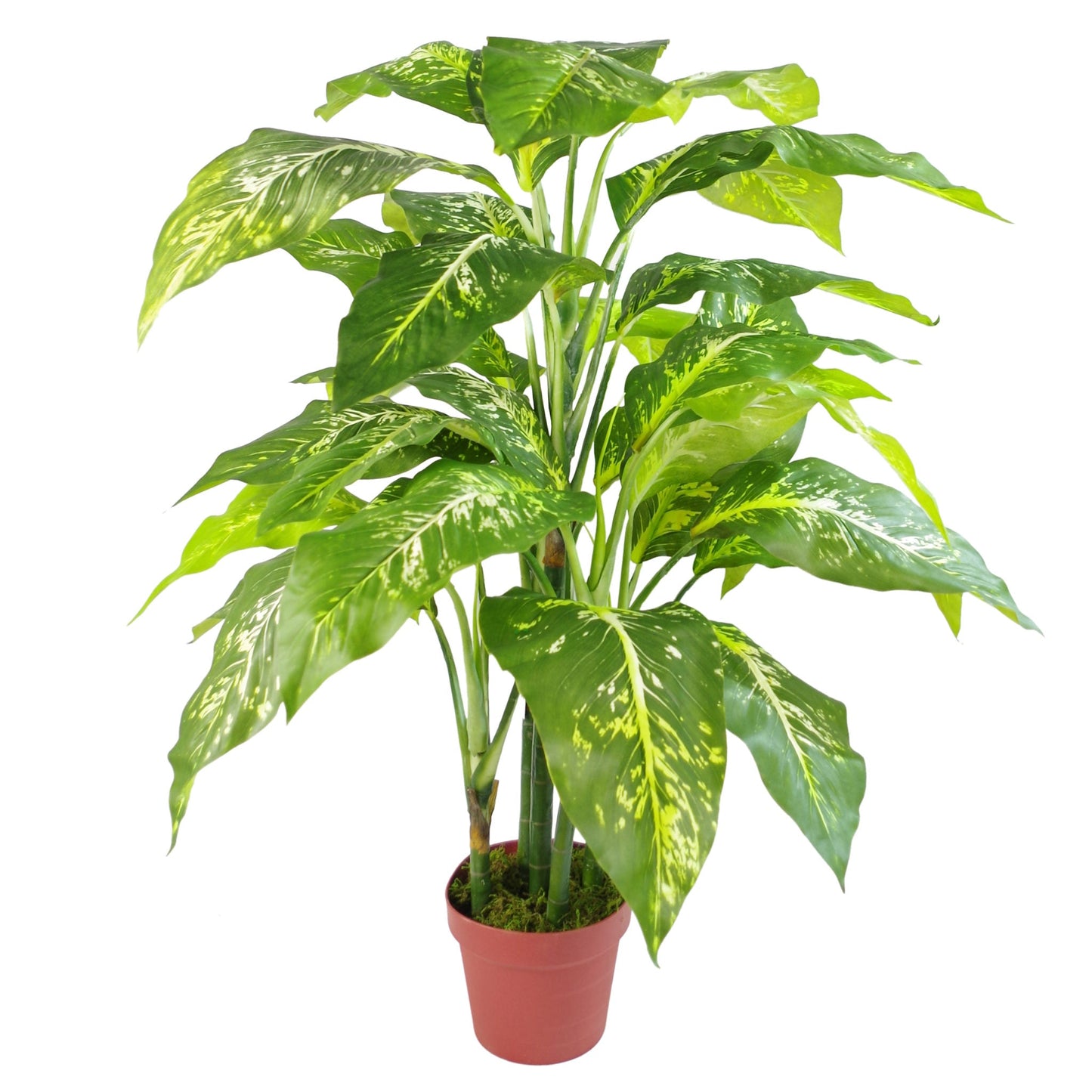 100cm Large Foxs Aglaonema (Spotted Evergreen) Tree Artificial Plant