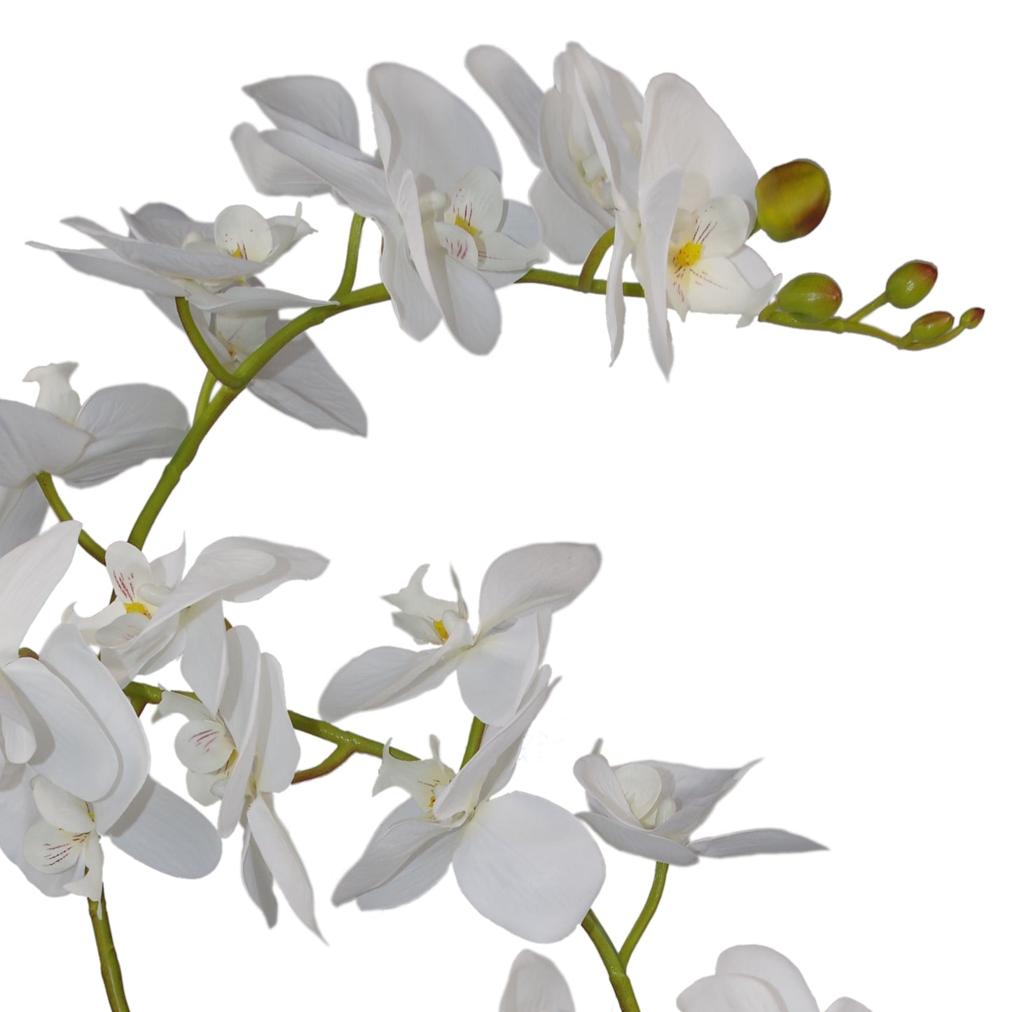 65cm Artificial Luxury Artificial Orchid - 3 Stems - Soft White Plant
