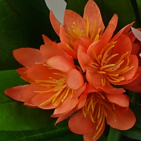 3x 18cm Artificial Freesia Plants Pink, Orange, Yellow Flowering