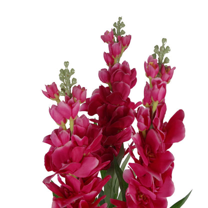 100cm Artificial Cymbidium Orchid Plant - Extra Large - Dark Pink Flowers