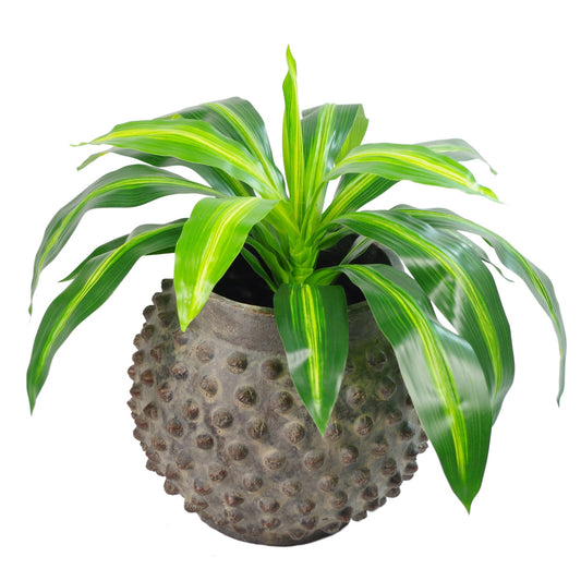 40cm Artificial Dracaena Pot Plant - Variegated Leaves