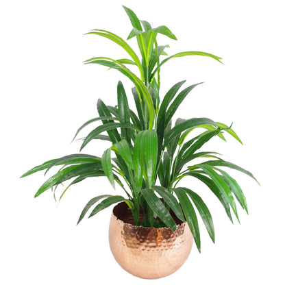 Large Metal bowl 22 x 17cm Hammered Copper Plated - Curvy Edge