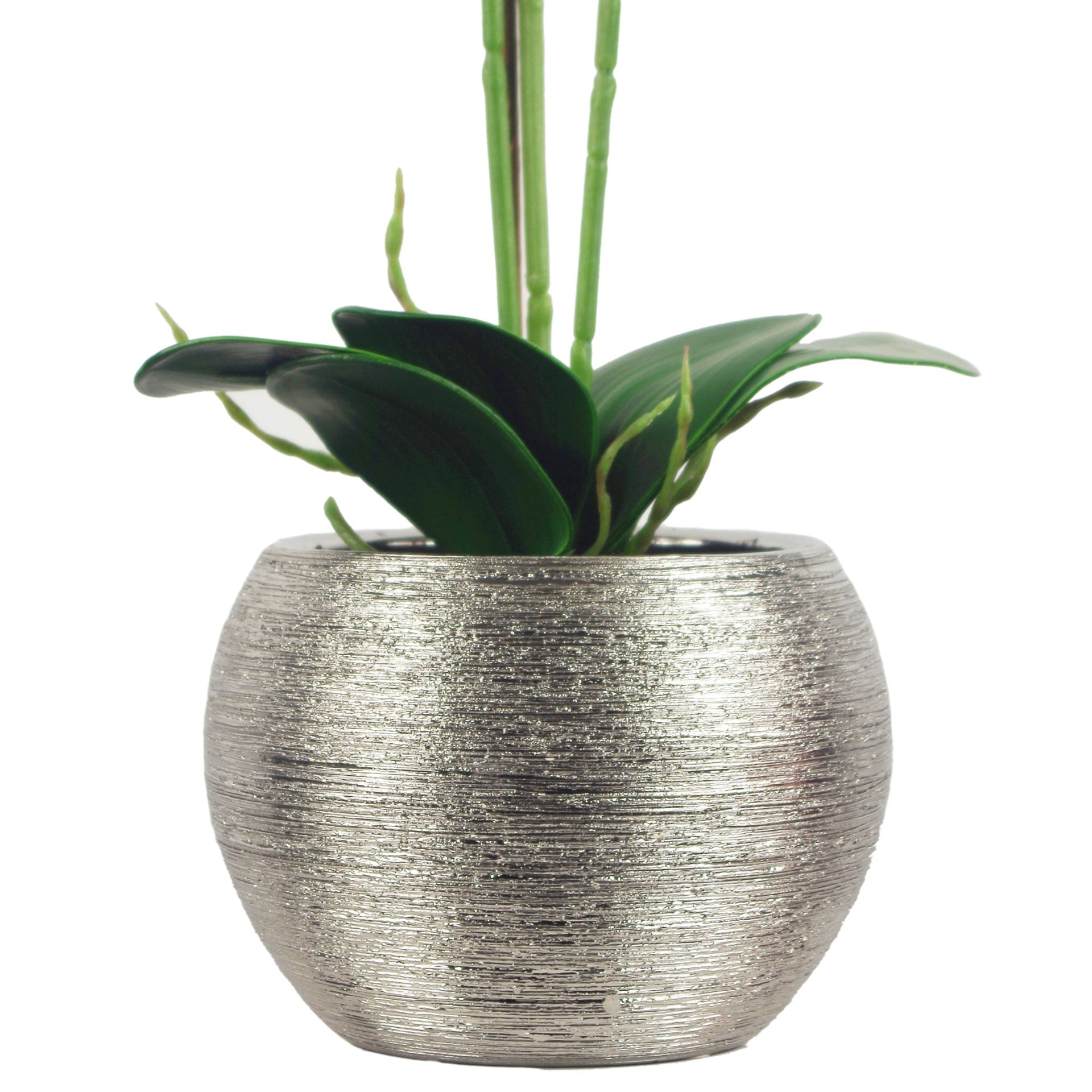70cm Artificial Orchid White with Silver Ceramic Planter