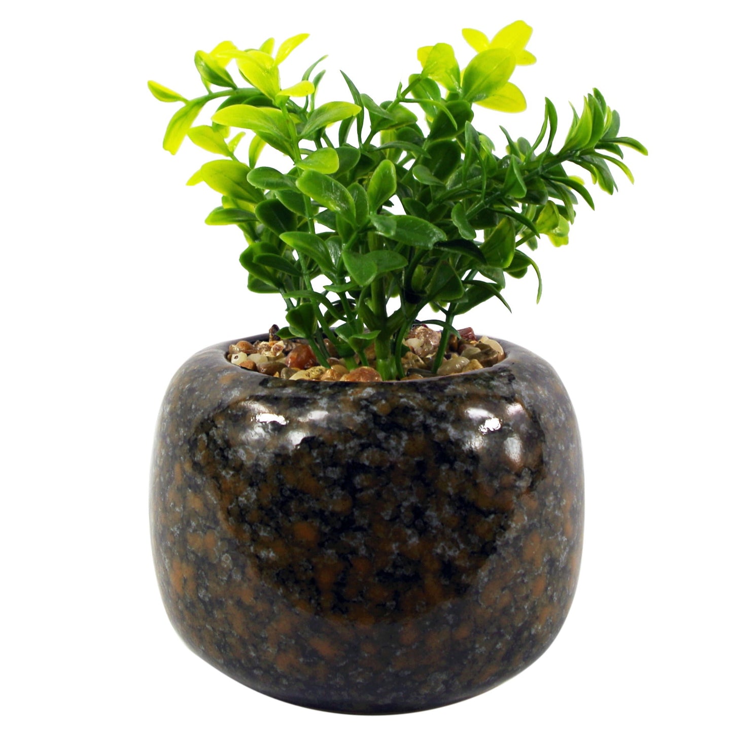 16cm Ceramic Spotted Planter with Artificial Crassula Plant