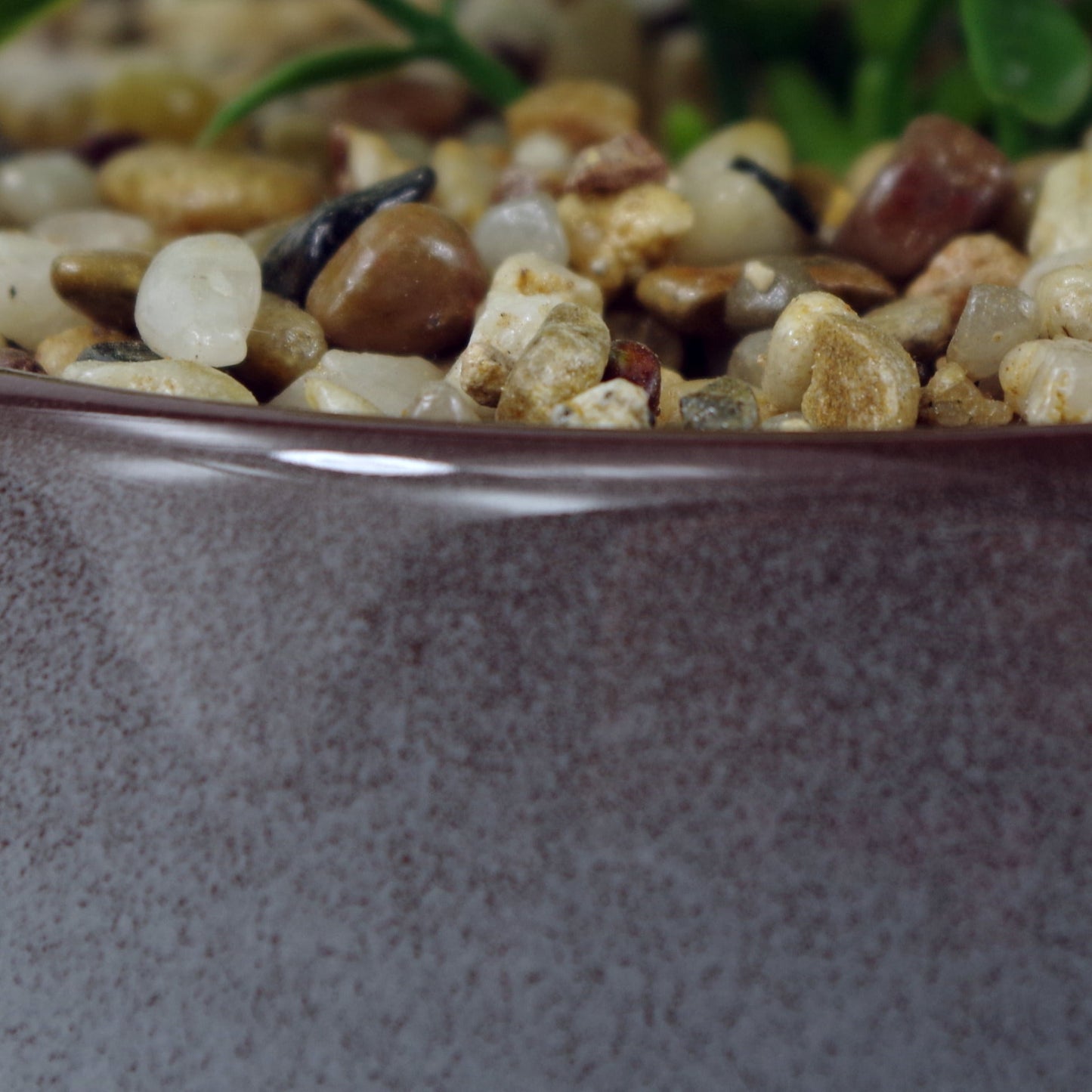 14cm Ceramic Blue Dish Planter with Artificial Sedum Clavatum Plant