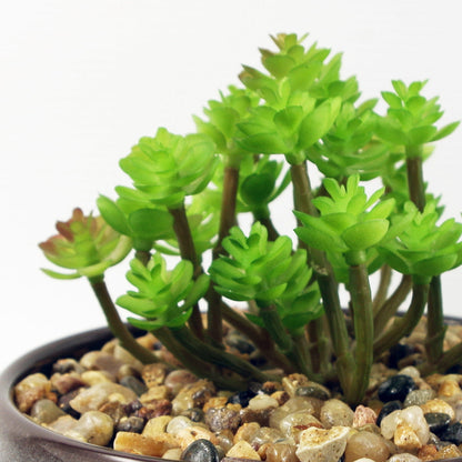 14cm Ceramic Blue Dish Planter with Artificial Sedum Clavatum Plant