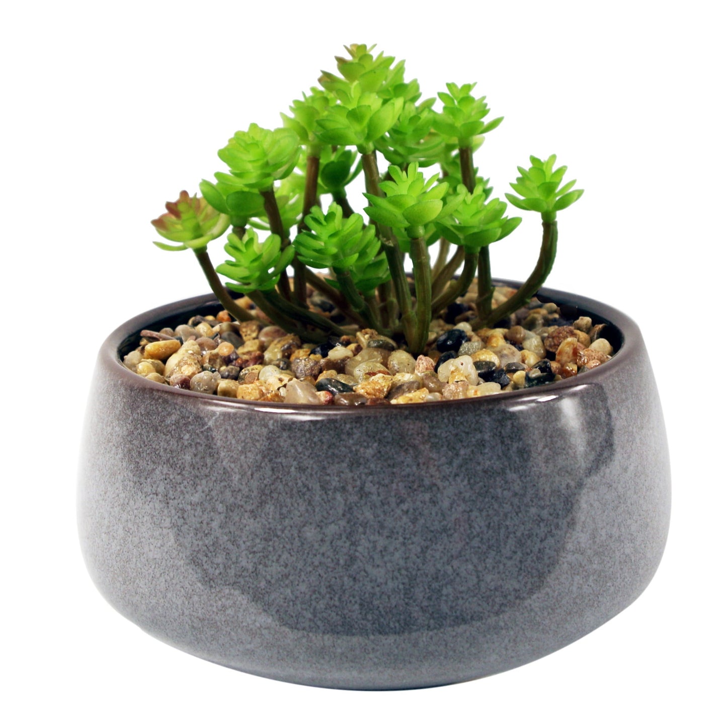 14cm Ceramic Blue Dish Planter with Artificial Sedum Clavatum Plant