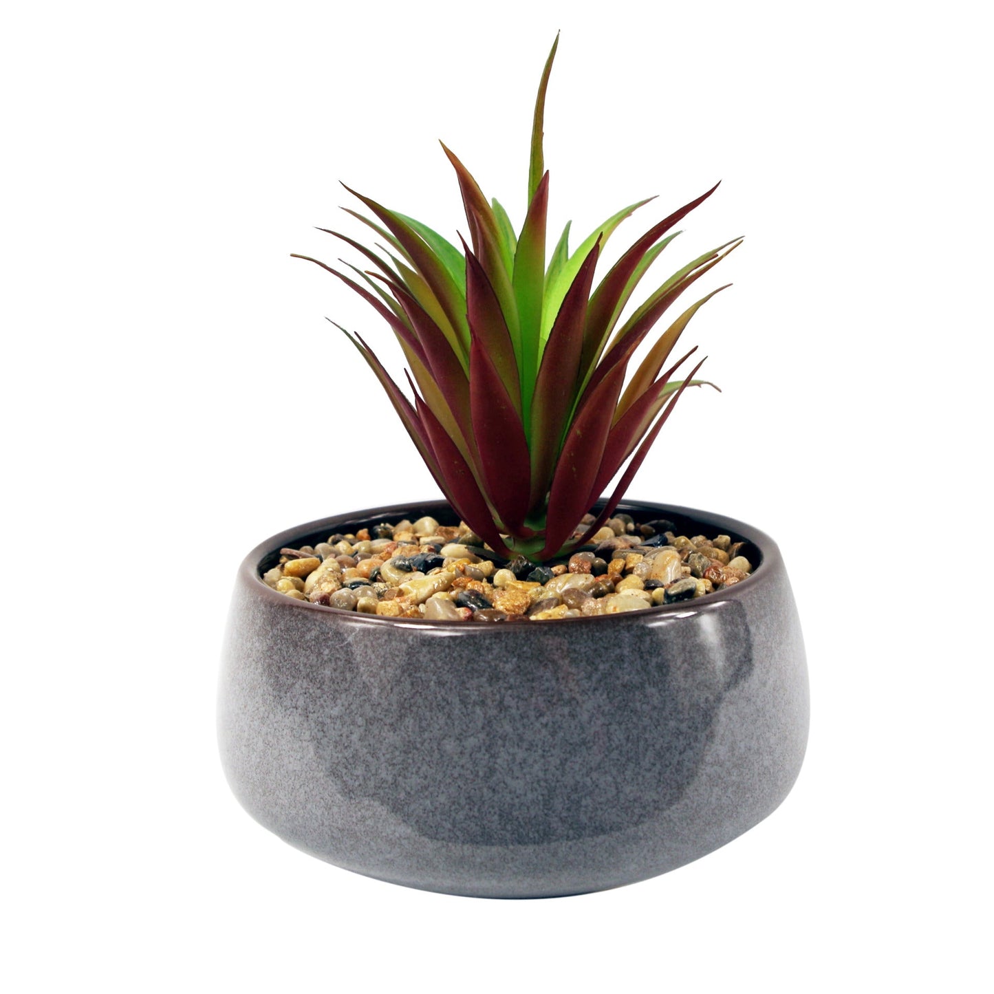 18cm Ceramic Blue Dish Planter with Artificial Red Dracaena Plant