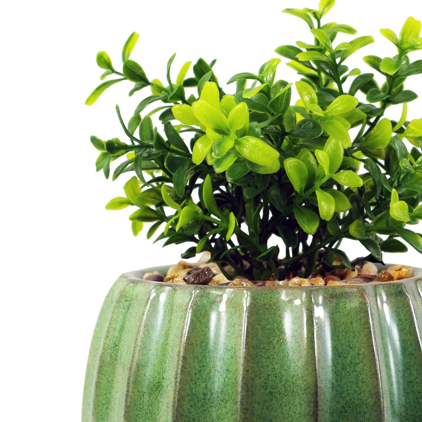 20cm Ceramic Green Glazed Barrel Planter with Artificial Crassula Plant