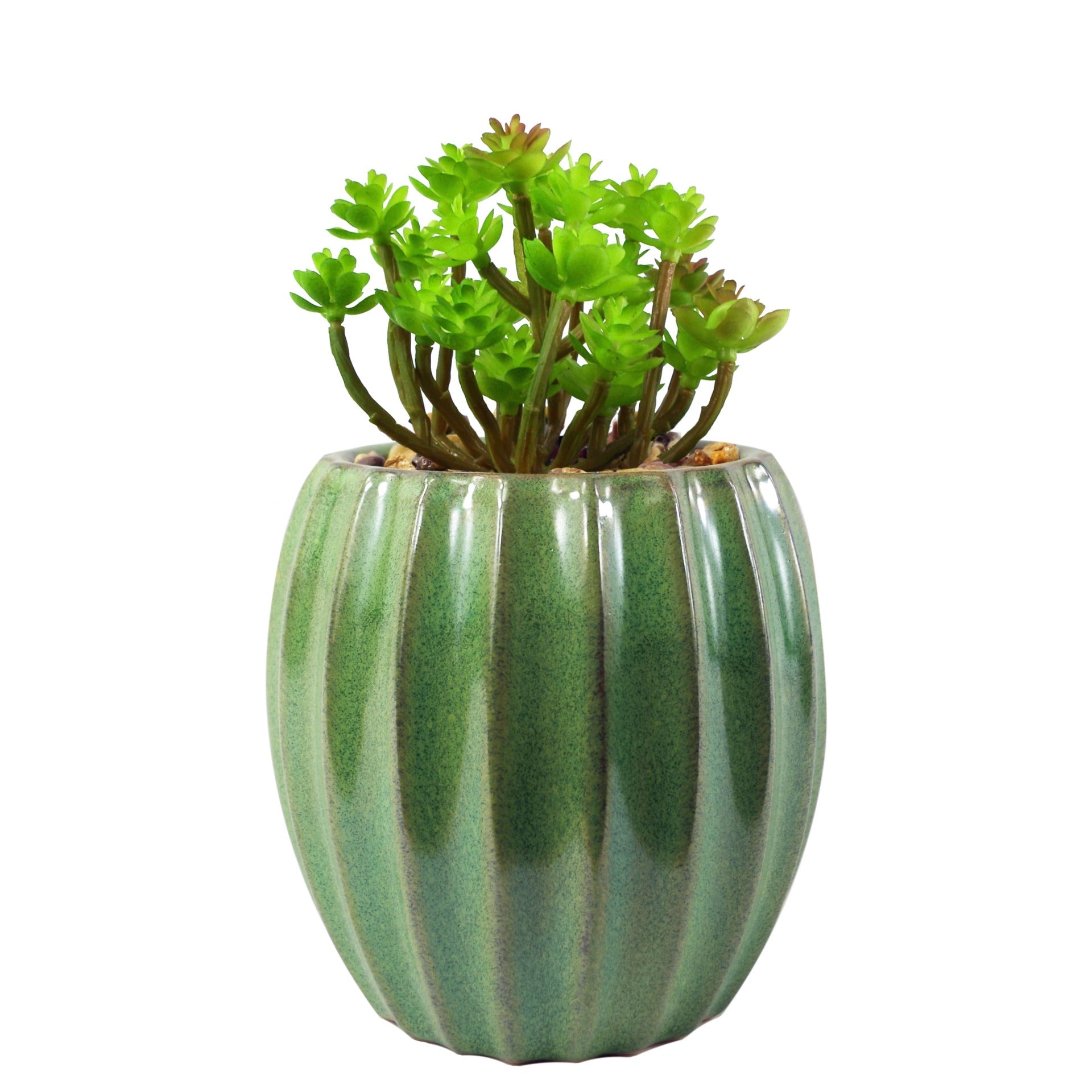 18cm Ceramic Green Glazed Barrel Planter with Artificial Sedum Clavatum Plant