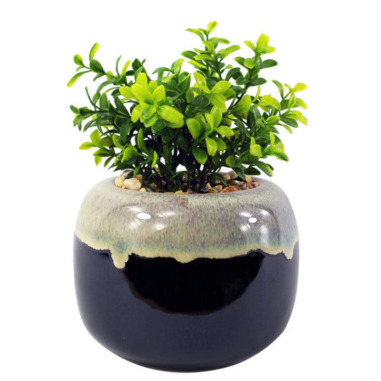 18cm Ceramic Drip Glazed Planter with Artificial Crassula Plant