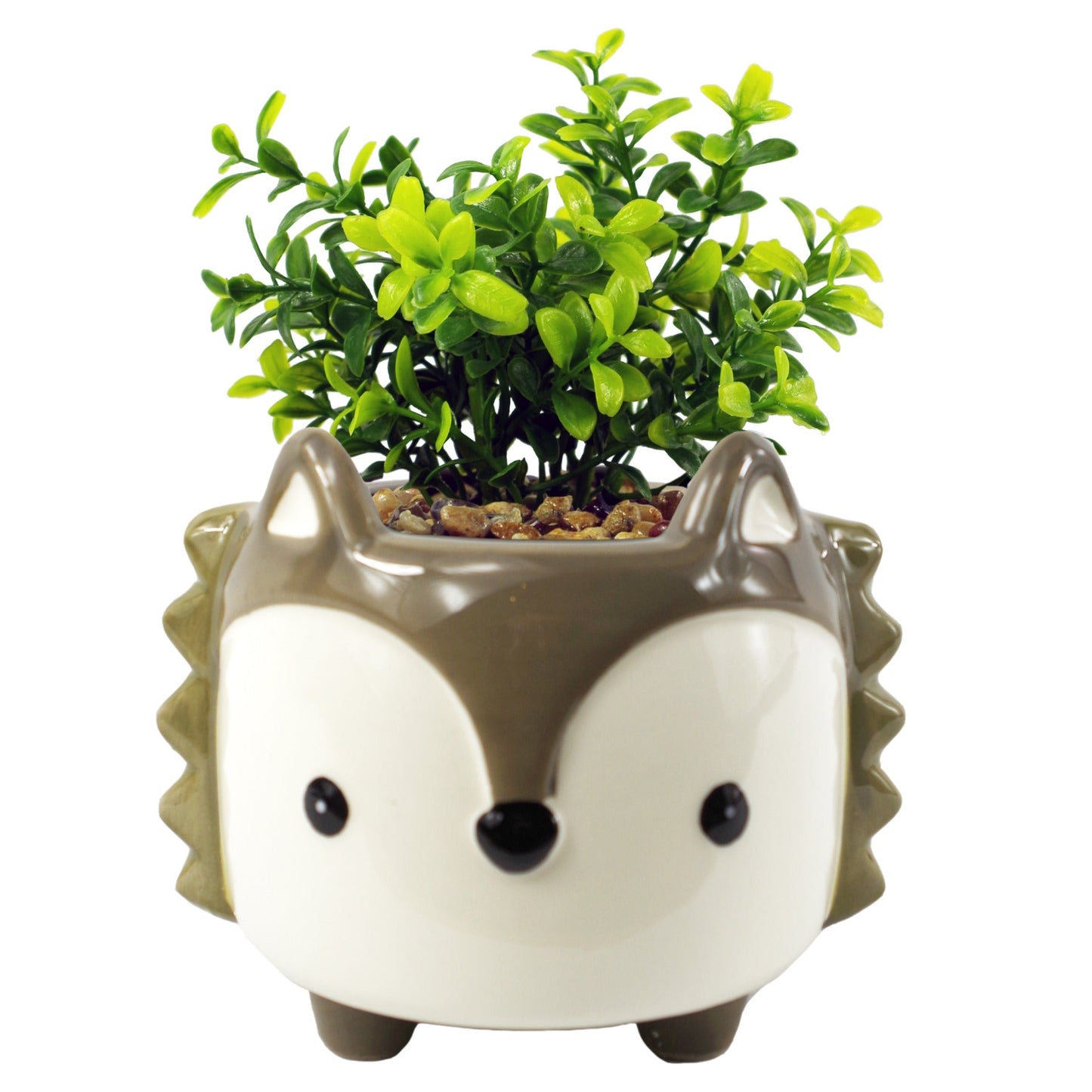 15cm Ceramic Grey Fox Planter with Artificial Crassula Plant
