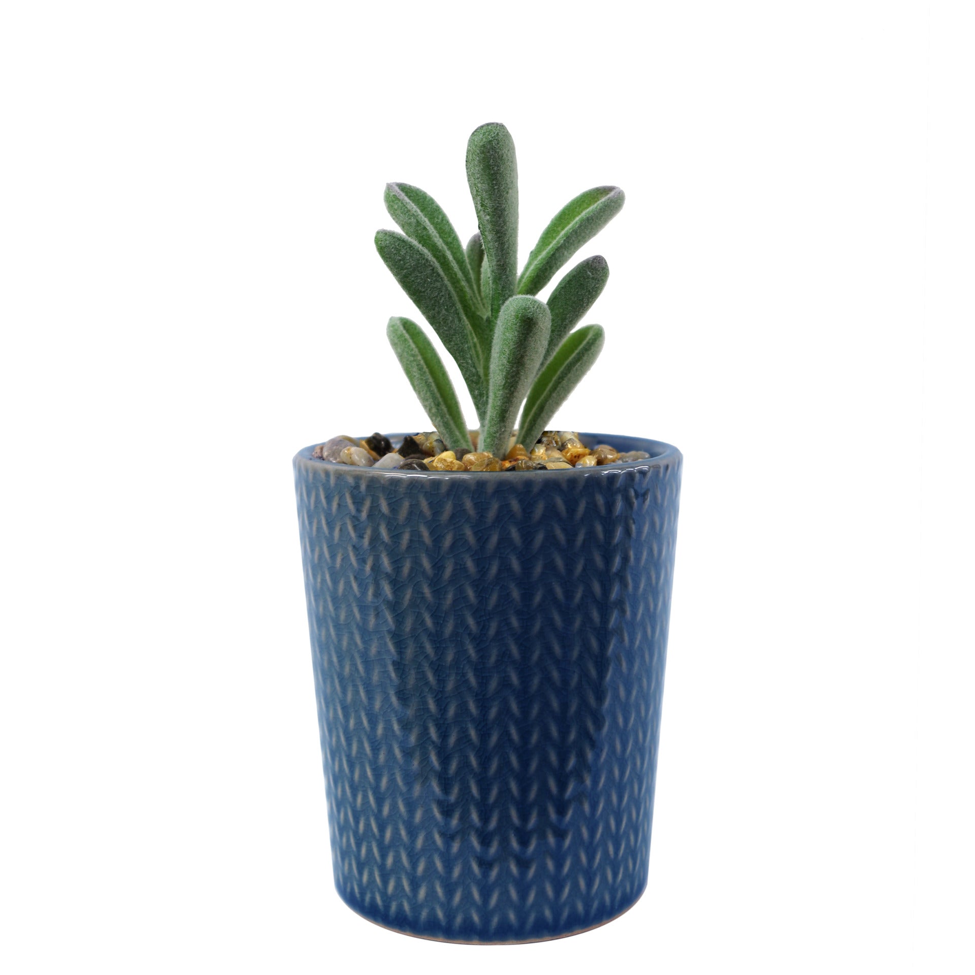 Set of Three 17cm Ceramic Blue Stripe Planter with Artificial Cactus Dracaena & Succulents