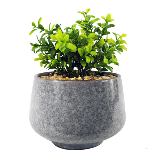 17cm Ceramic Tall Blue Planter with Artificial Crassula Plant