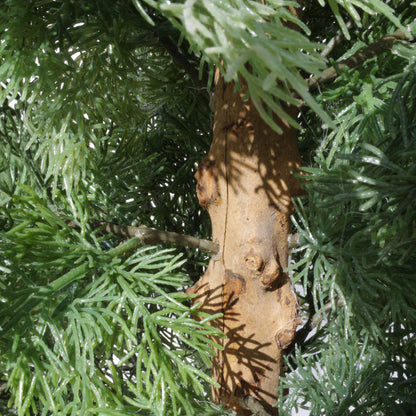 95cm Artificial Cedar Cypress Artificial Bushy Topiary Tree UV Protected