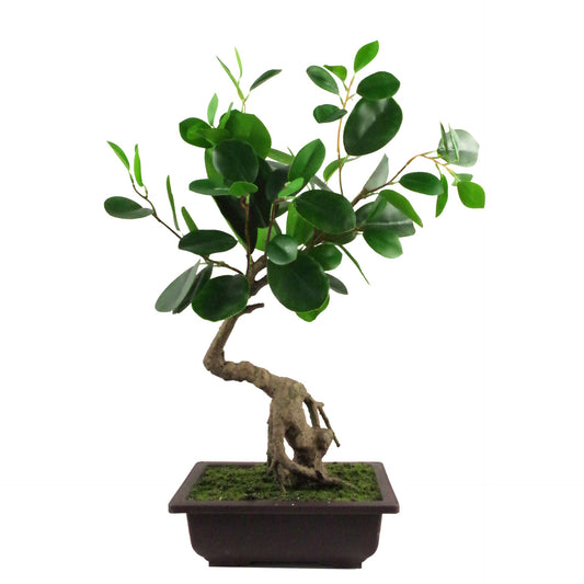 50cm Artificial Ficus Rounded Leaf Bonsai Tree