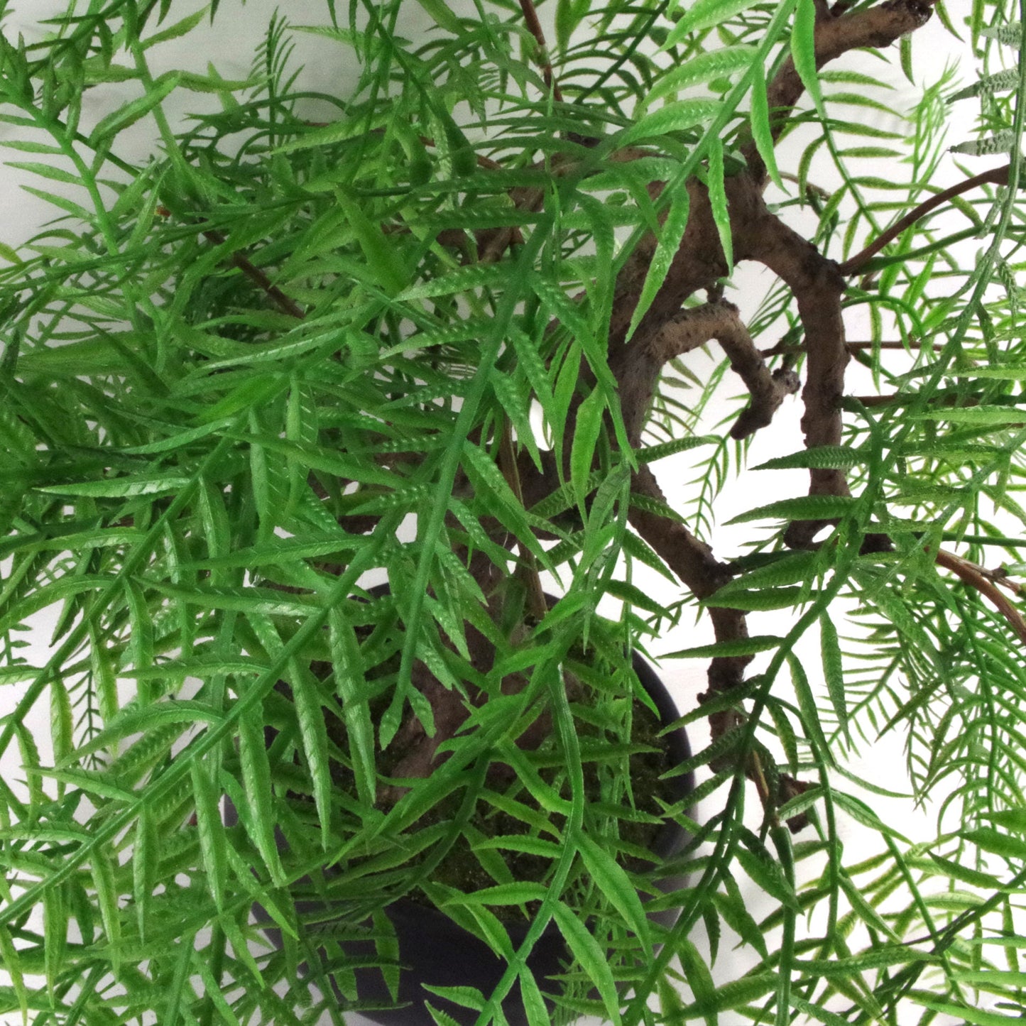 50cm Artificial Luxury Willow Bonsai Tree