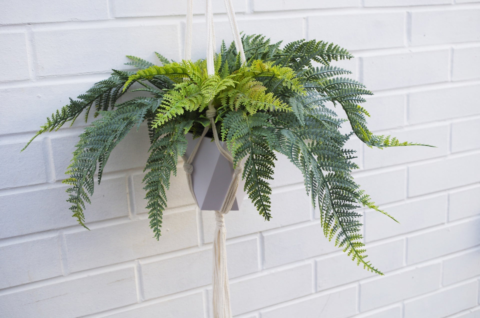 Potted Realistic Artificial Urban Jungle Hanging Fern Plant