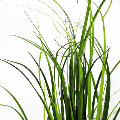 60cm Artificial Grass Plant With Green Ceramic Planter