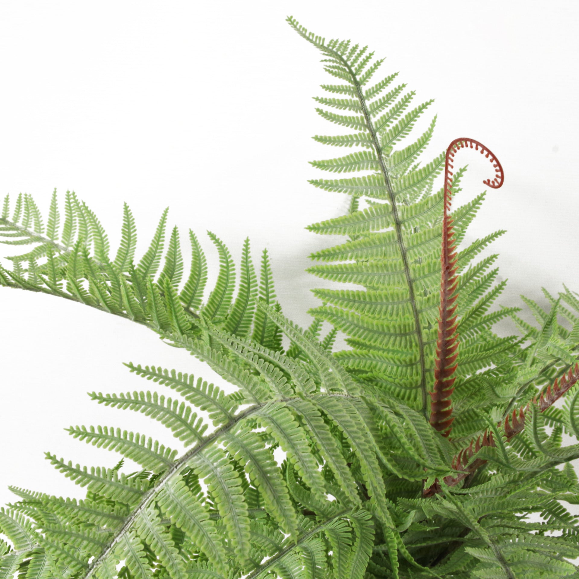 60cm Artificial Bushy Dixie Wood Fern Light Green Plant