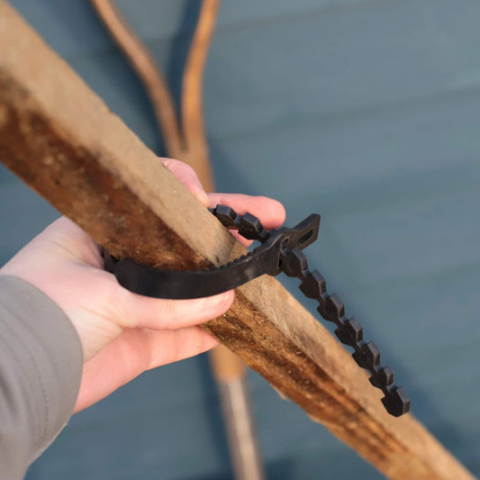 Extra Tall (1.8m) Bamboo Tree Stake & Supersoft Tie