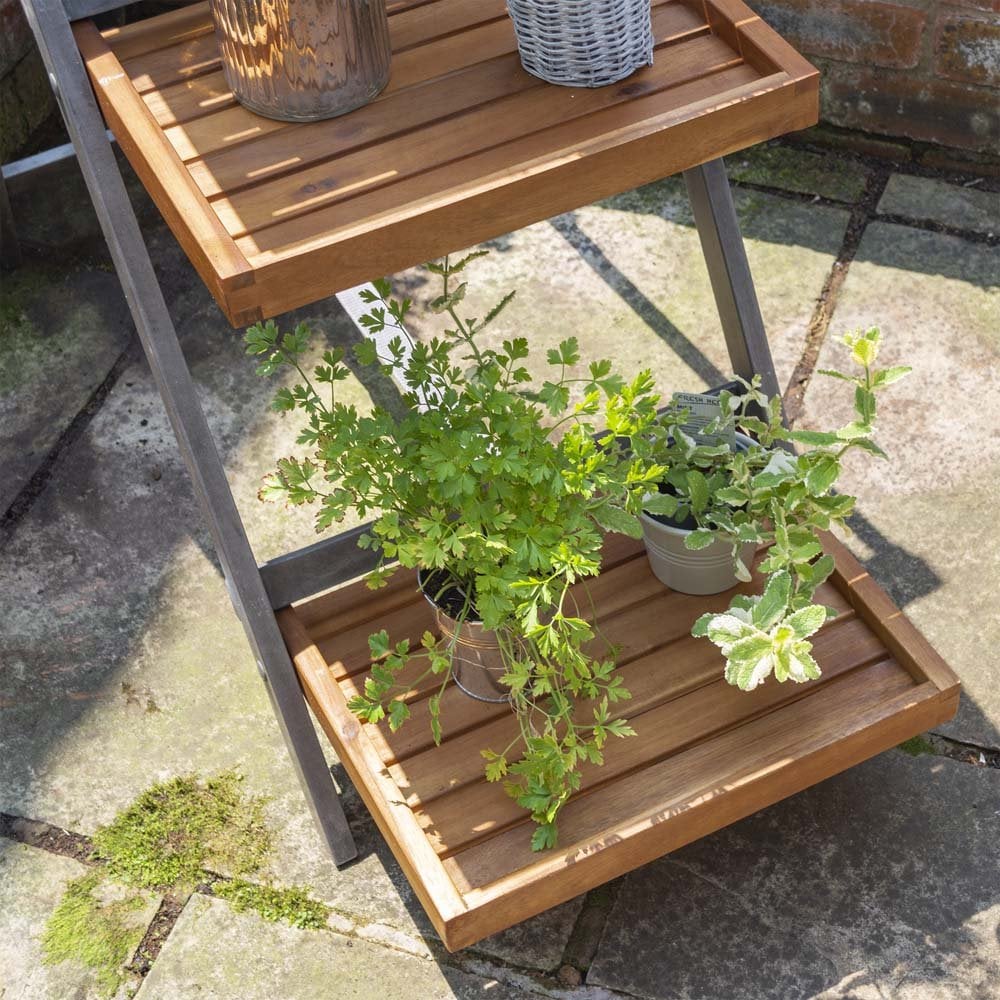 Alderley Hardwood Plant Ladder Large