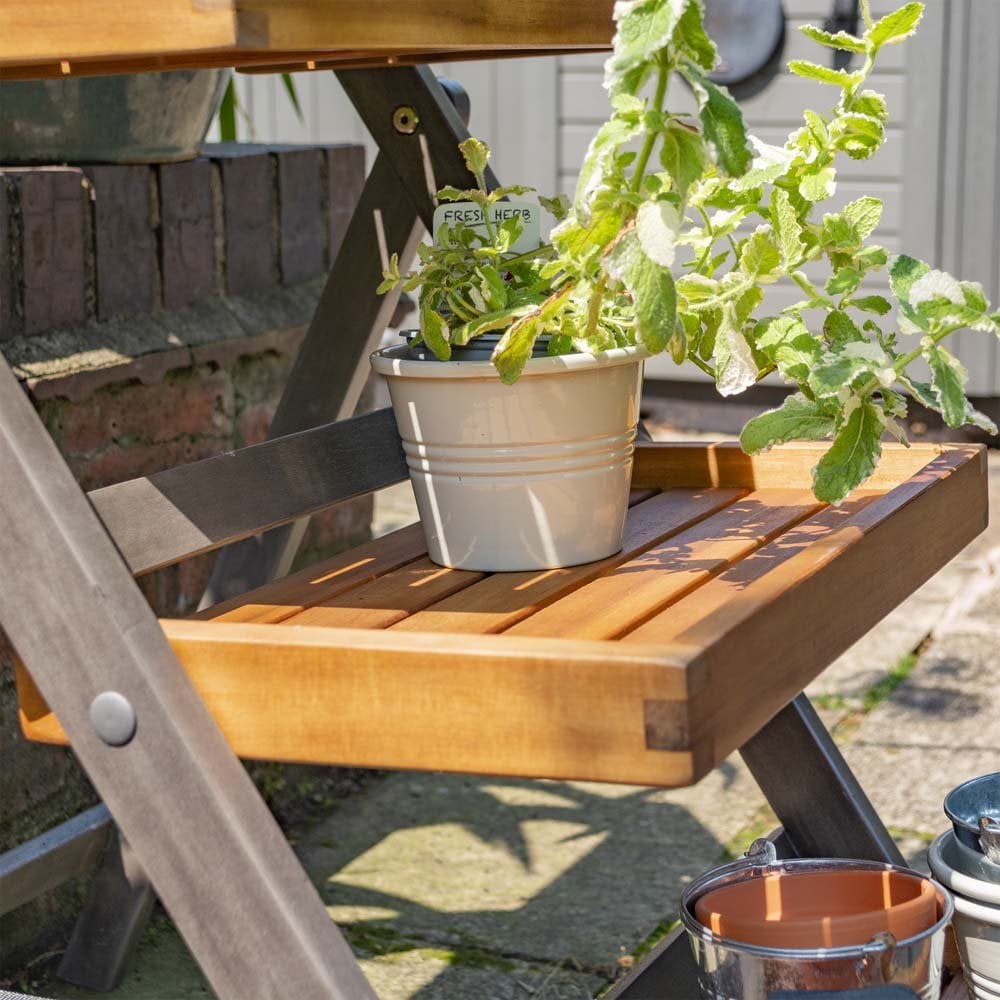 Alderley Hardwood Plant Ladder Small