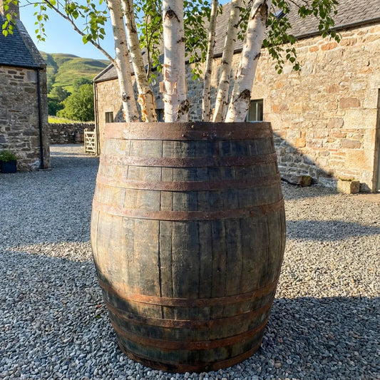 #80-85cm(D) x 33cm(H) 1/4 Barrel
#Natural Timber/Rustic Band
#with Liner
#without Liner