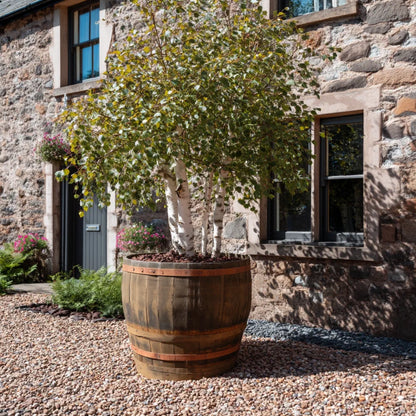 #90cm(D) x 94cm(H) 3/4 Barrel
#Natural Timber/Rustic Band
#with Liner
#without Liner