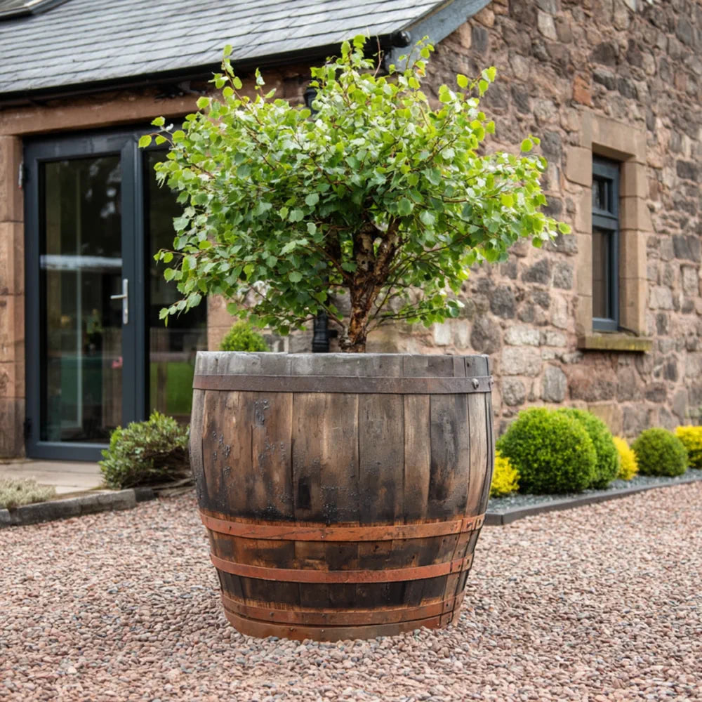 #90cm(D) x 94cm(H) 3/4 Barrel
#Natural Timber/Rustic Band
#with Liner
#without Liner