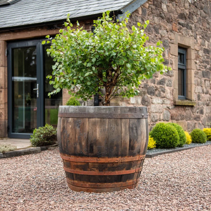 #90cm(D) x 94cm(H) 3/4 Barrel
#Natural Timber/Rustic Band
#with Liner
#without Liner