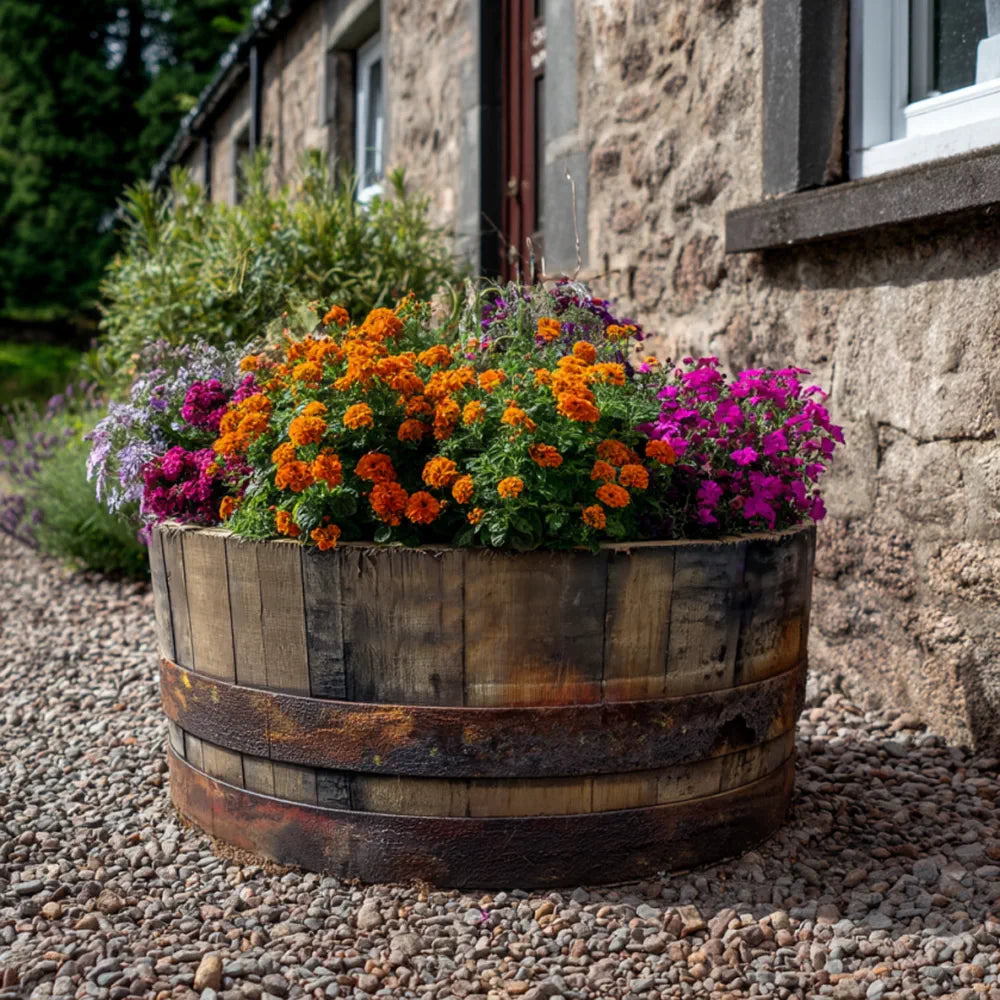 #65-70cm(D) x 21cm(H) 1/4 Barrel
#Natural Timber/Rustic Band
#with Liner
#without Liner