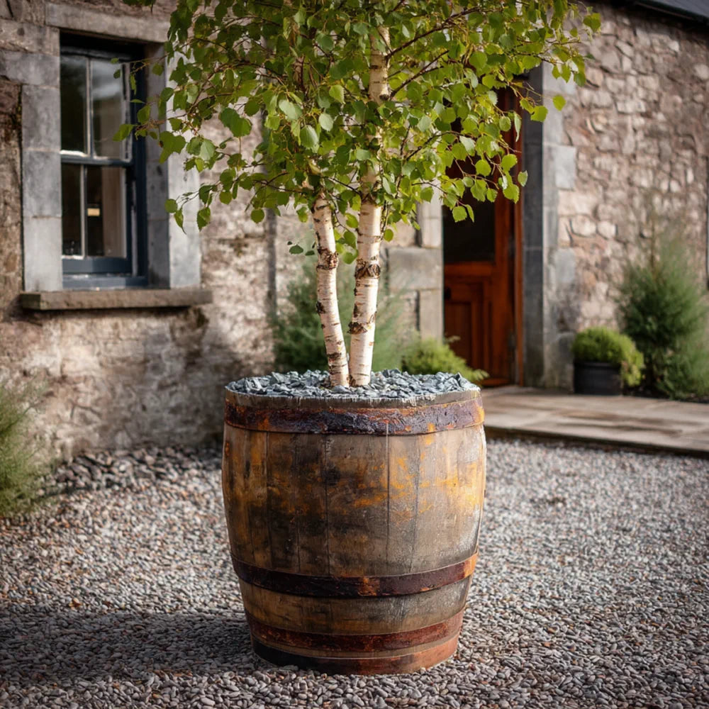 #65-70cm(D) x 67-70cm(H) 3/4 Barrel
#Natural Timber/Rustic Band
#with Liner
#without Liner