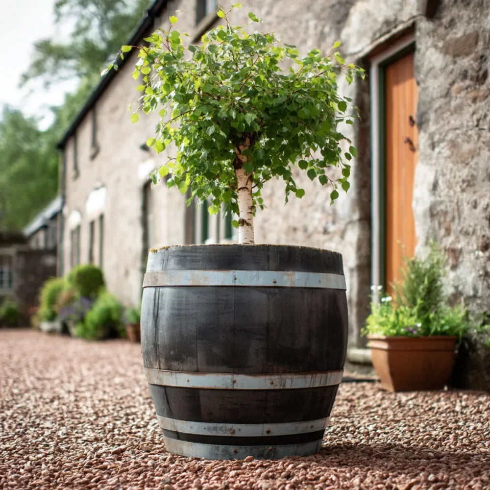 #70cm(D) x 73cm(H)
#Rustic Silver