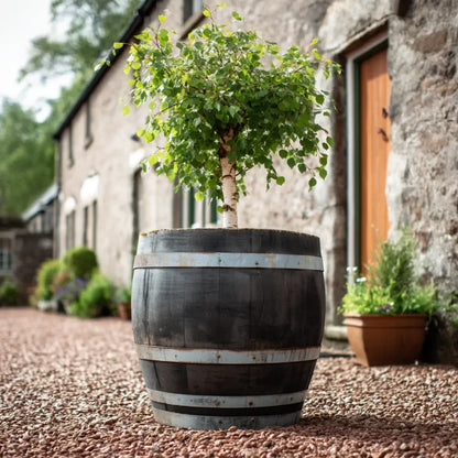 #70cm(D) x 73cm(H)
#Rustic Silver