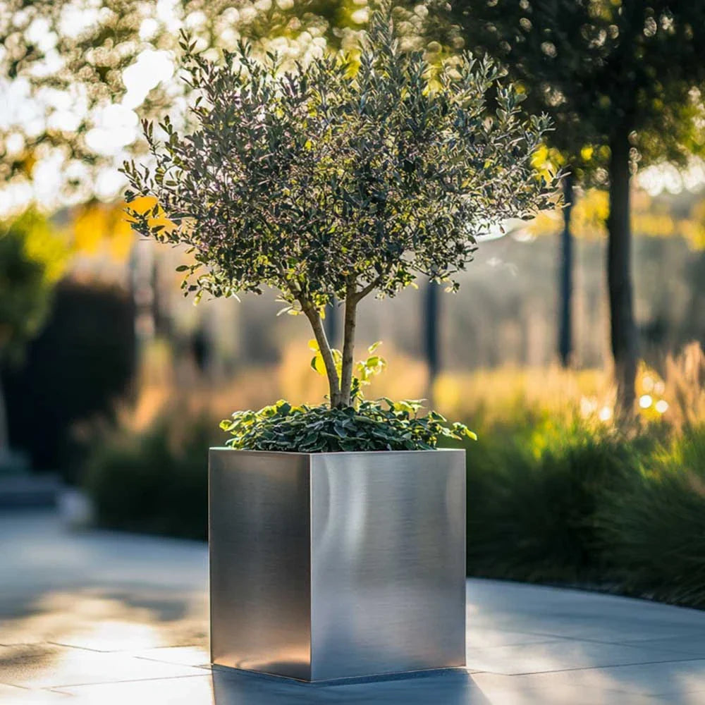 Zinc Galvanised Cube Metal Planter