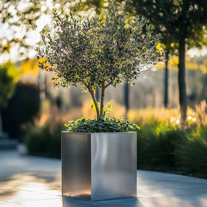 Zinc Galvanised Cube Metal Planter