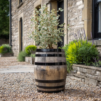 #65cm(D) x 90cm(H)
#Black