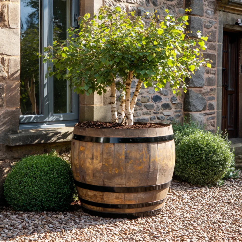 #90cm(D) x 94cm(H) 3/4 Barrel
#Natural Timber/Black Band
#with Liner
#without Liner