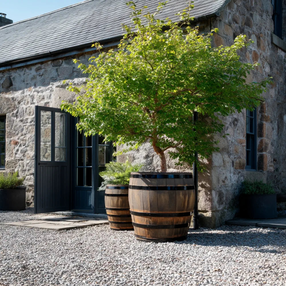 #65cm(D) x 65cm(H)
#Black