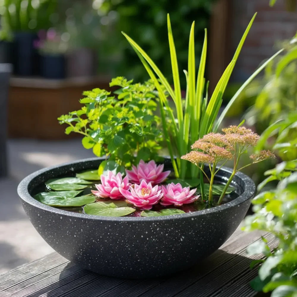 #51cm(D) x 25cm(H)
#Grey Stone
#9W Floating Fountain