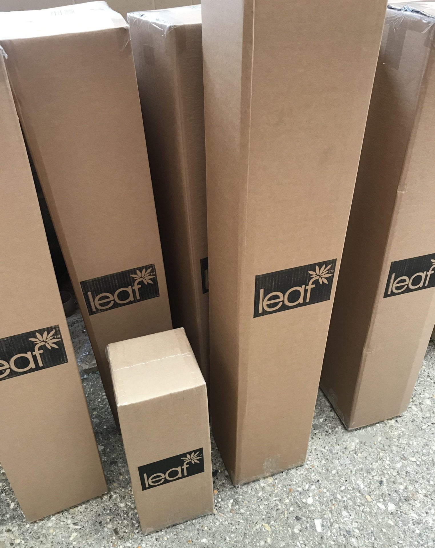 Leaf Cube Cardboard Box - 34cm x 34cm x 28cm (Large)